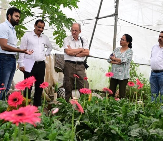 राजनांदगांव : प्रस्तावित सेंटर ऑफ एक्सीलेंस के मूल्यांकन के लिए नीदरलैंड के विशेषज्ञों ने किया राजनांदगांव जिले का भ्रमण…