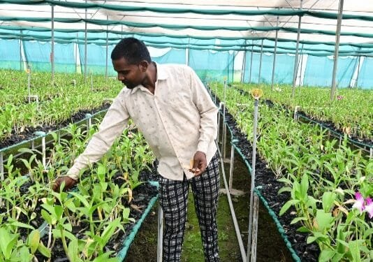 राजनांदगांव : फूलों की खेती से साक्षी को लगभग 8 से 10 लाख रूपए का होगा मुनाफा…