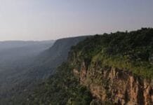 रायपुर : गुरू घासीदास-तमोर पिंगला बना देश का 56वां टाइगर रिजर्व…