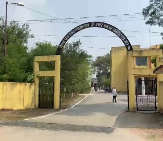 न्याय की गुहार लगाने न्यायालय पहुंचा भालू! दो दिनों से परिसर में डाल रखा है डेरा…