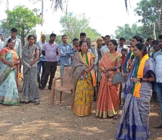 राजनांदगांव: महाराष्ट्र चुनाव प्रवास पर गीता घासी साहू भाजपा प्रत्याशी संजय पुराम के समर्थन मे गांव गांव पहुंचकर माँगा आशीर्वाद…