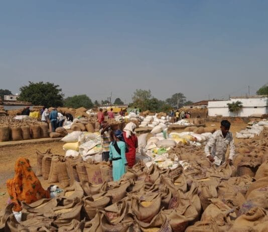 मोहला: धान विक्रय करने आये किसानों को नहीं है कोई समस्या, मेहनत का मिल रहा है दाम…