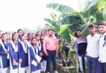 राजनांदगांव : व्यावसायिक पाठ्यक्रम के अंतर्गत शास.उ.मा. शाला हरदी के विद्यार्थियों ने किया शैक्षणिक भ्रमण…