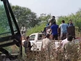 जंगल से भटककर ग्रामीण इलाके में पहुंचे बाघ…