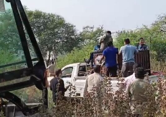 जंगल से भटककर ग्रामीण इलाके में पहुंचे बाघ…