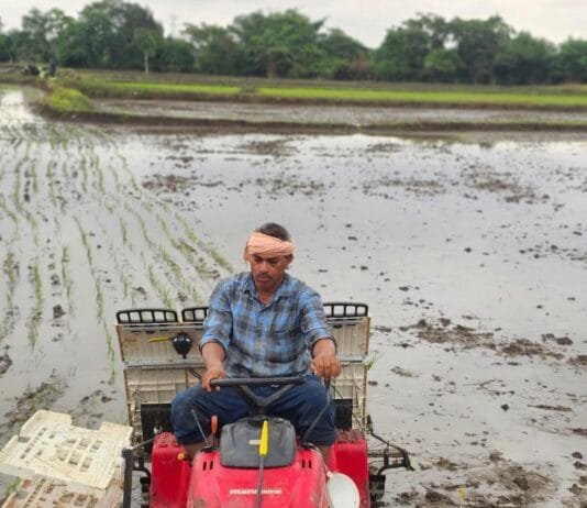 राजनांदगांव : मशीन से निर्धारित दूरी पर रोपा लगाना हुआ आसान…