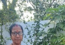 मोहला: महतारी वंदन योजना ने महिलाओं को बनाया आत्मनिर्भर, स्वाभिमान से जीने का मिला अवसर…