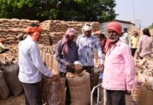 रायपुर : प्रदेश में अब तक 113 लाख मीट्रिक टन से अधिक धान की खरीदी…