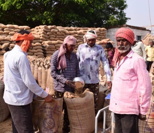 रायपुर : प्रदेश में अब तक 113 लाख मीट्रिक टन से अधिक धान की खरीदी…