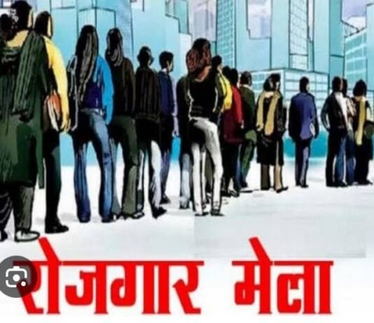 राजनांदगांव : रोजगार कार्यालय एवं जनपद पंचायतों में 7 से 15 जनवरी तक प्लेसमेंट कैम्प…