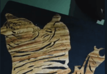 VISION TIMES : अभ्यारण्य की महिलाओं के लिए पैरा आर्ट प्रशिक्षण शिविर का आयोजन…