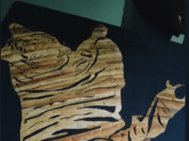 VISION TIMES : अभ्यारण्य की महिलाओं के लिए पैरा आर्ट प्रशिक्षण शिविर का आयोजन…