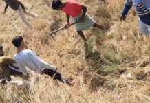 प्रेमिका को खेत में दफना कर ऊपर से लगाया धान का रोपा, 5 महीने बाद खुला राज…