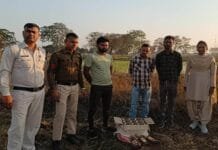 राजनांदगांव : अवैध शराब बिक्री करने वालो पर कार्यवाही…