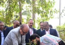 राजनांदगांव: राज्यपाल ने छत्तीसगढ़ डेंटल कॉलेज एवं रिसर्च इंस्टीट्यूट सुंदरा परिसर में एक पेड़ माँ के नाम अभियान के तहत किया पौधरोपण…