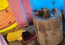 जांजगीर-चांपा : छात्रा ने जीभ काटकर शिवलिंग पर चढ़ाया…