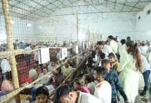 राजनांदगांव : वार्ड नंबर 6 से देवेश वैष्णव कांग्रेस और सुनील साहू बीजेपी बराबर…