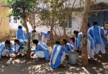 राजनांदगांव: स्वच्छता त्यौहार के अवसर पर स्कूलों में नारा लेखन, पेंटिंग, रैली एवं स्वच्छता जागरूकता अभियान आयोजित…