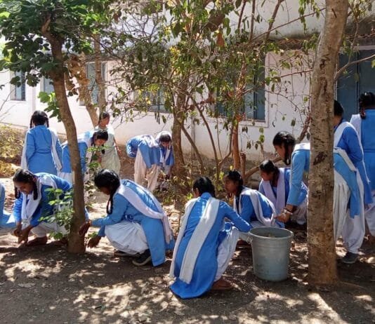 राजनांदगांव: स्वच्छता त्यौहार के अवसर पर स्कूलों में नारा लेखन, पेंटिंग, रैली एवं स्वच्छता जागरूकता अभियान आयोजित…