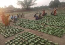 राजनांदगांव : राजमोहिनी देवी तेन्दूपत्ता संग्राहक सामाजिक सुरक्षा योजना…