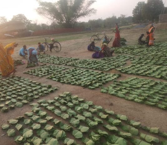 राजनांदगांव : राजमोहिनी देवी तेन्दूपत्ता संग्राहक सामाजिक सुरक्षा योजना…