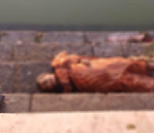 राजनांदगांव: शहर के रानी सागर में मिली वृद्ध महिला की लाश…