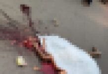 राजनांदगांव/चिखली: होली के एक दिन पहले सड़क हादसे में एक व्यक्ति की मौत, ट्रक ने रौंदा…