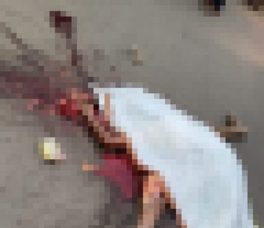 राजनांदगांव/चिखली: होली के एक दिन पहले सड़क हादसे में एक व्यक्ति की मौत, ट्रक ने रौंदा…