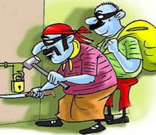 राजनांदगांव: होली मनाने पैतृक घर गए परिवार, चोरों ने 4 लाख के गहने समेत नगदी को किया पार…