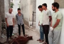 राजनांदगांव : राजनादगांव को इसलिए ही कहा जाता है संस्कारधानी…