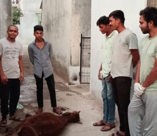 राजनांदगांव : राजनादगांव को इसलिए ही कहा जाता है संस्कारधानी…