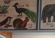 रायपुर : सहायक संचालक अमित शुक्ला ने “धमधा “”के परीक्षा केन्द्रो का किया औचक निरीक्षण…