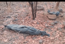 राजनांदगांव : प्रेमी जोड़े का शव पेड पर लटके मिलने से क्षेत्र मे सनसनी…