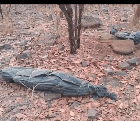 राजनांदगांव : प्रेमी जोड़े का शव पेड पर लटके मिलने से क्षेत्र मे सनसनी…