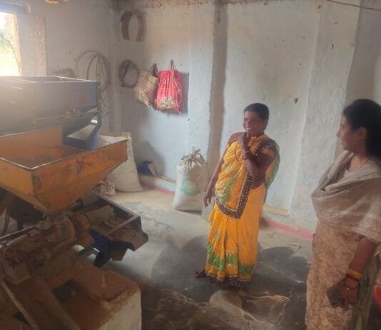 मोहला : मानपुर विकासखंड में महिला समूहों की आजीविका गतिविधियों का जिला पंचायत सीईओ ने किया निरीक्षण…