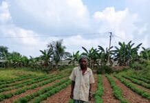 राजनांदगांव : वनांचल के किसान नारद ने मूंगफली की फसल लेकर 4 गुना से अधिक का लिया मुनाफा…