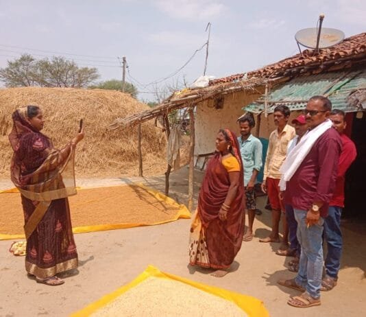 राजनांदगांव : मोर दुआर साय सरकार अभियान के तहत डोंगरगढ़ में किया जा रहा सर्वेक्षण…