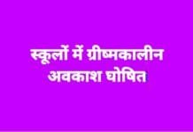 राजनांदगांव : 25 अप्रैल से 15 जून तक ग्रीष्मकालीन अवकाश…