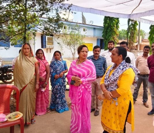 राजनांदगांव : ग्राम पंचायत गोटाटोला में आयोजित किया गया जिला स्तरीय पंचायती राज दिवस…