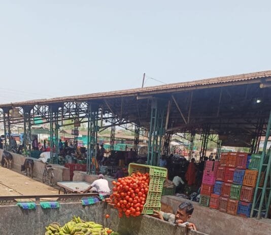 राजनांदगांव : आयुक्त की पहल से गंज मण्डी में बचे फल सब्जी पहुच रहा कांजी हाउस…