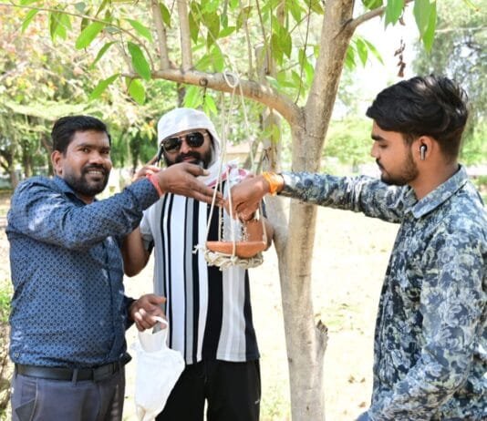 राजनांदगांव : कलेक्टोरेट गार्डन में पक्षियों के लिए दाना-पानी हेतु लगाए गए सकोरे…