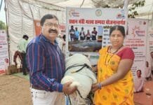 मोहला : गांव की महिलाओं को मिला सशक्तिकरण का तोहफा-मछली पालन के लिए जाल वितरण, बढ़ेगा रोजगार…