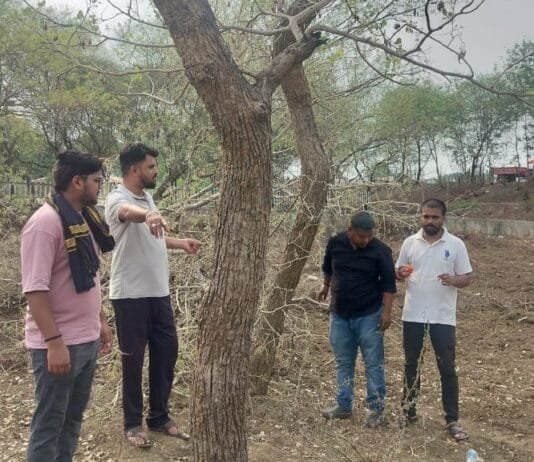 राजनांदगांव : बनना था बर्ड पार्क अब शीशम के जंगल काट बना रहे नालंदा परिषर…