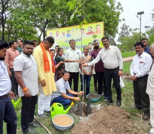 राजनांदगांव : विश्व पर्यावरण दिवस के अवसर पर नगर निगम द्वारा आनंद वाटिका में वृक्षारोपण…