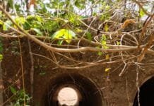 राजनांदगांव: जंगल में एक युवक का मिला सड़ी-गली लाश…