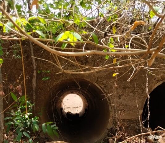 राजनांदगांव: जंगल में एक युवक का मिला सड़ी-गली लाश…