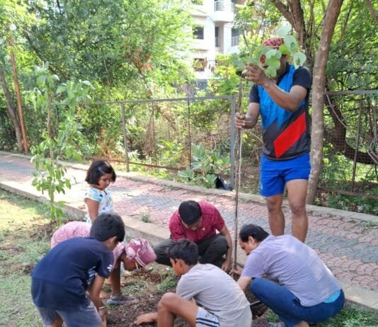 राजनांदगांव : महापौर ने किया आर.के. नगर अमृत उद्यान में वृक्षारोपण,प्रबुद्धजनो एवं महिलाओ ने कचनार, नीम, कदम के लगाये पौधे…