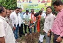 राजनांदगांव : पर्यावरण संरक्षण के लिए नगर निगम का वृक्षारोपण महा अभियान…