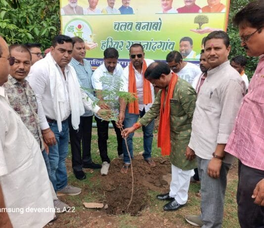 राजनांदगांव : पर्यावरण संरक्षण के लिए नगर निगम का वृक्षारोपण महा अभियान…
