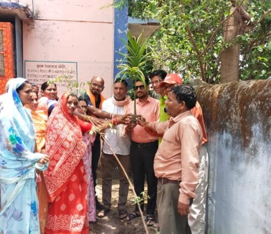 राजनांदगांव : बोरी मे विश्व पर्यावरण दिवस पर वृक्षारोपण किया…